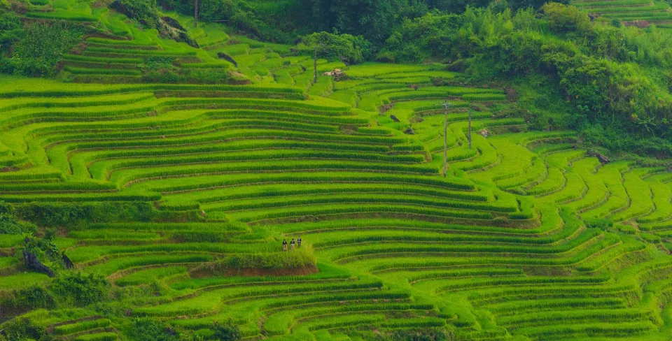 Kho gạo của Nguyễn Thị Thanh Trang